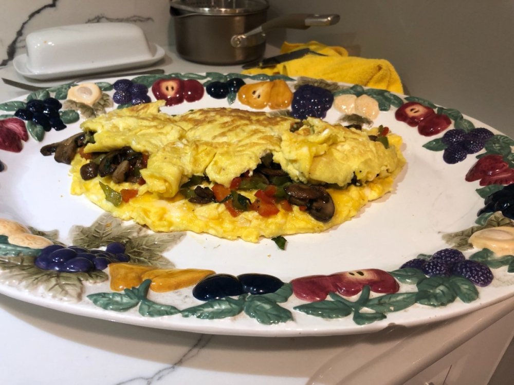 VommitOmlet.jpg